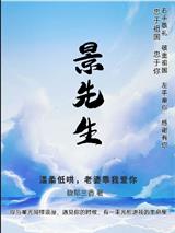 陆星辰景嘉木